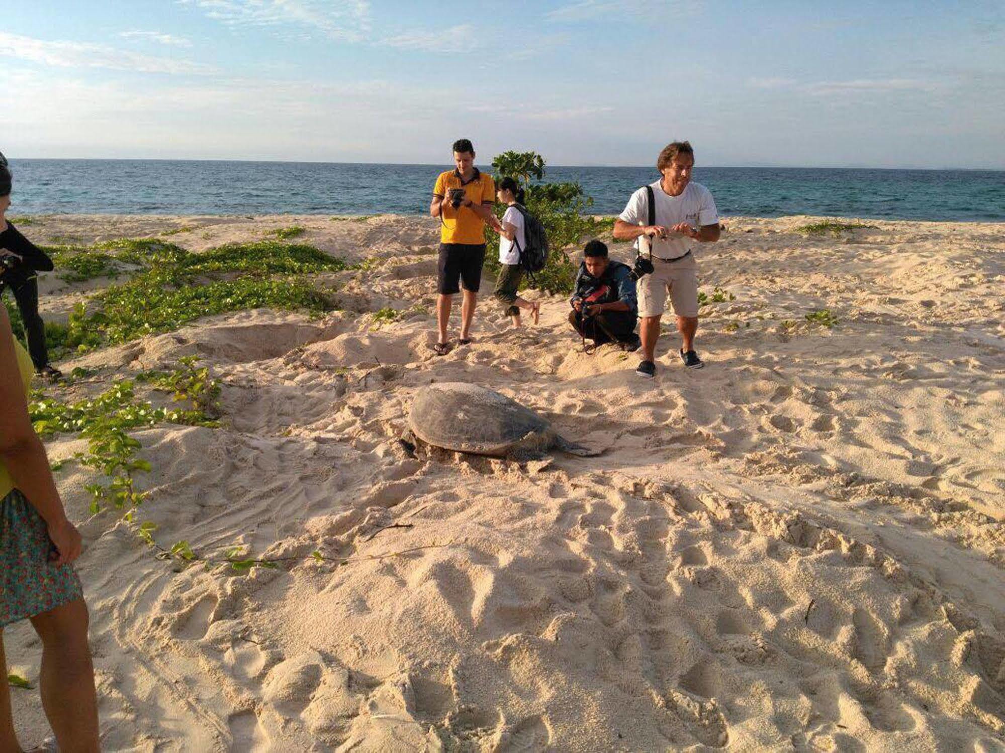 Hotel Selingan Turtle Island Sandakan Exterior foto